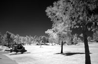 a local park, R72 and grayscaled